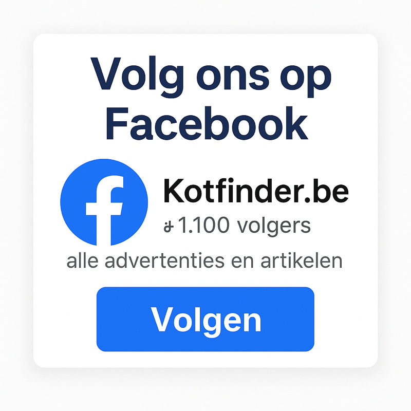 Kot Facebook